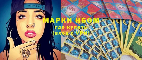 PSILOCYBIN Богданович