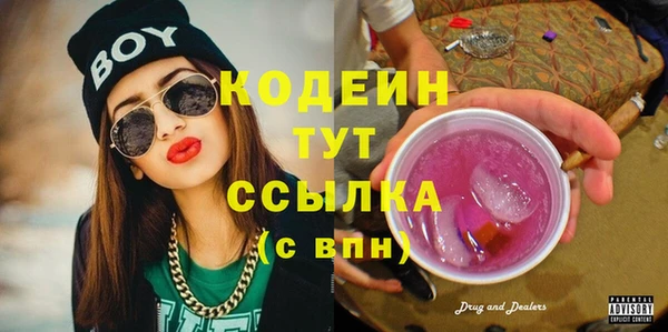 мдпв Богородицк