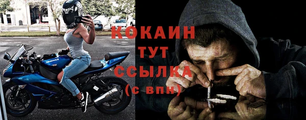 мдпв Богородицк